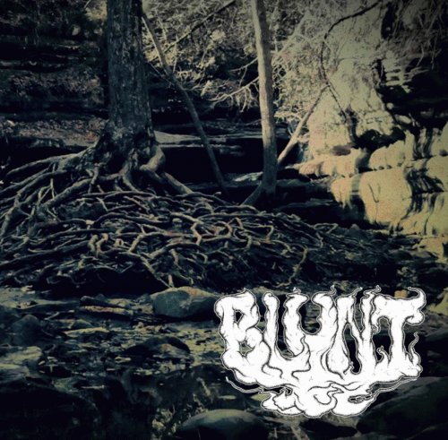 Blunt : State of Desolation